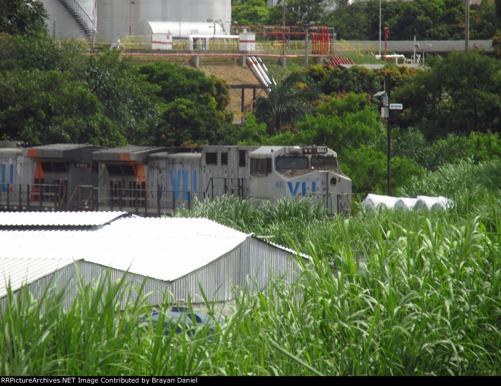 VLI 8683
